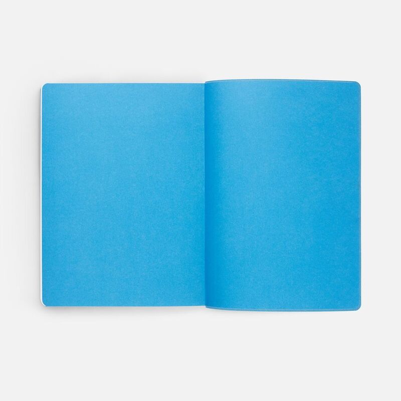 Ежедневник Flexpen Shall, недатированный, голубой арт.19087.41