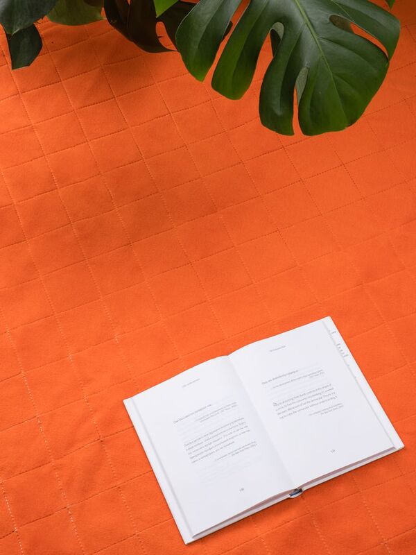 Плед для пикника Soft & Dry 2, оранжевый арт.16579.20