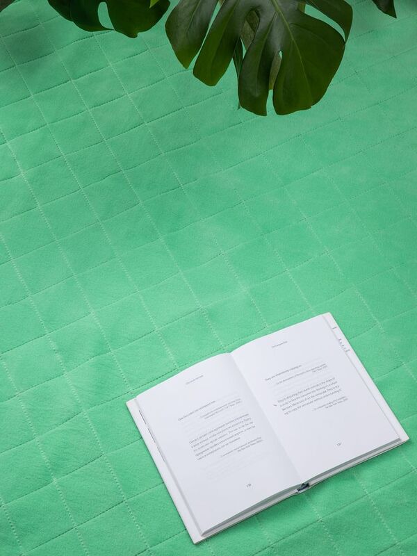 Плед для пикника Soft & Dry 2, светло-зеленый арт.16579.94