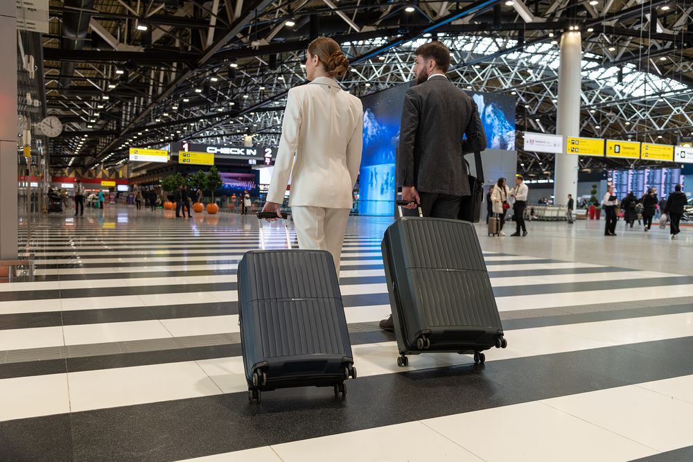 Чемодан Santiago L, темно-серый арт.16724.13