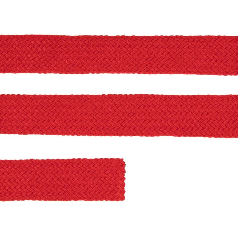 Плоский шнур Cord S, красный, 40 см арт.19709.50.40cm