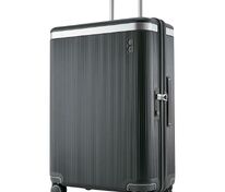 Чемодан Dynasty L, темно-серый арт.16650.13