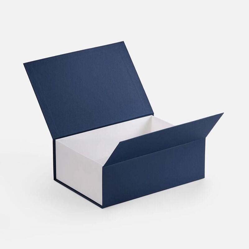 Коробка Bicolor Case, белая с синим арт.17618.40