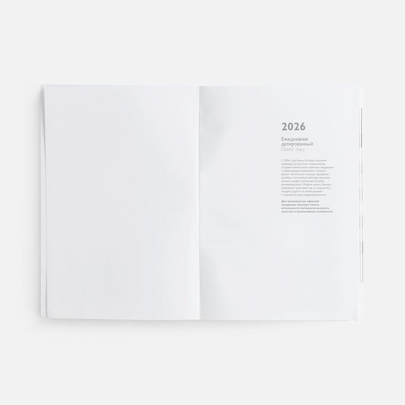 Ежедневник Baza, датированный, красный арт.18290.50