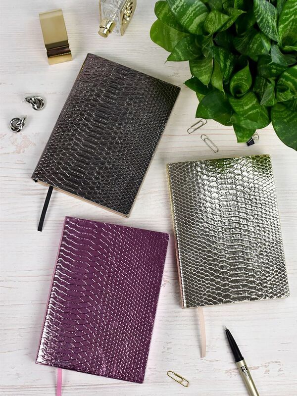 Ежедневник Anaconda, недатированный, серебристый арт.18296.10