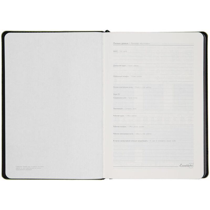 Ежедневник Alanis, недатированный, черный с зеленым арт.18299.39