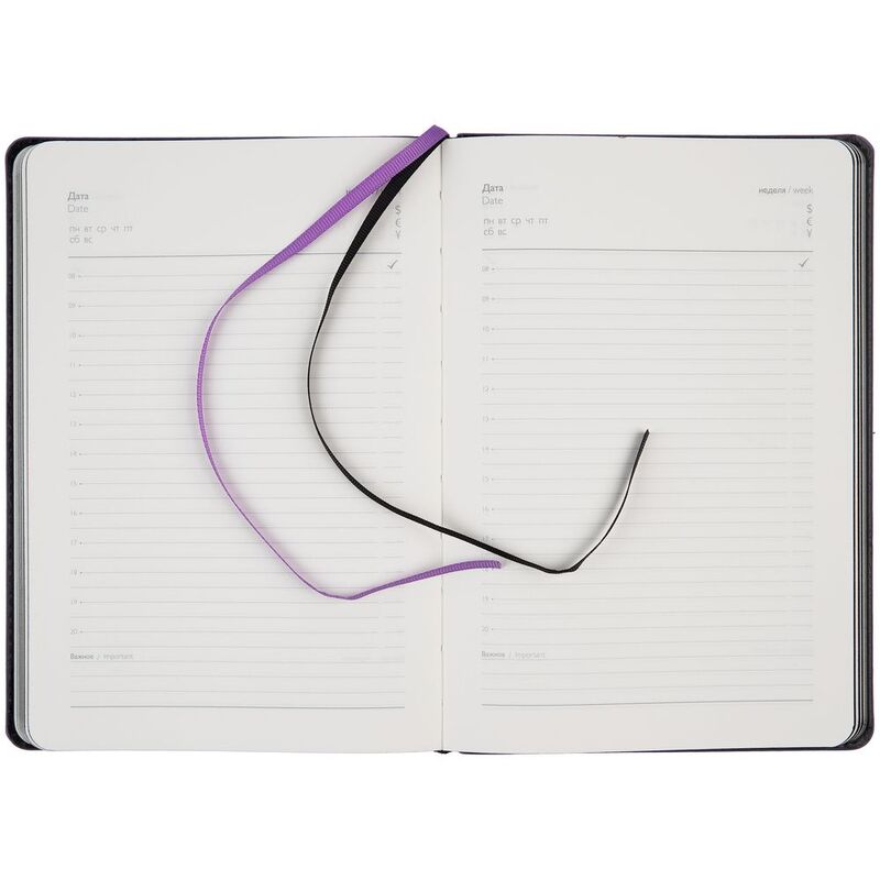 Ежедневник Alanis, недатированный, черный с фиолетовым арт.18299.37