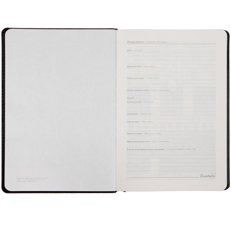 Ежедневник Alanis, недатированный, черный с фиолетовым арт.18299.37