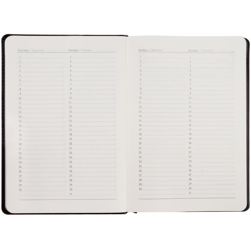 Ежедневник Alanis, недатированный, черный с красным арт.18299.35