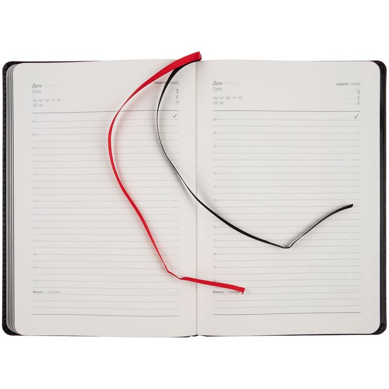 Ежедневник Alanis, недатированный, черный с красным арт.18299.35