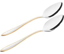 Набор из 2 чайных ложек Charles арт.18300.00