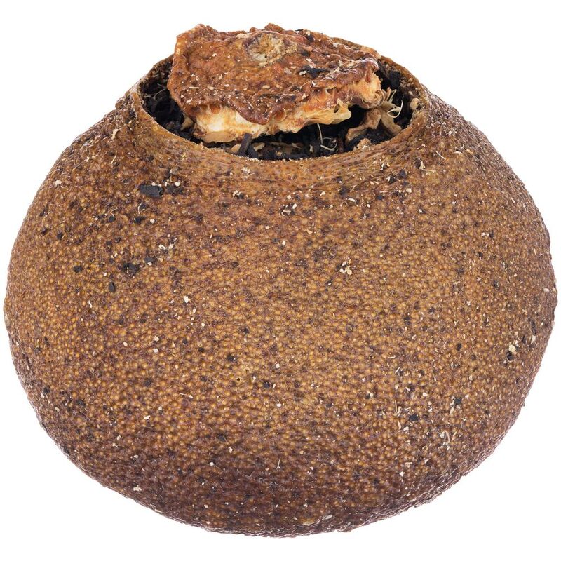 Черный чай Citrus в апельсине с маслом лайма арт.19400.00