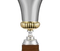 Кубок Erfolg, серебристый арт.20764.10