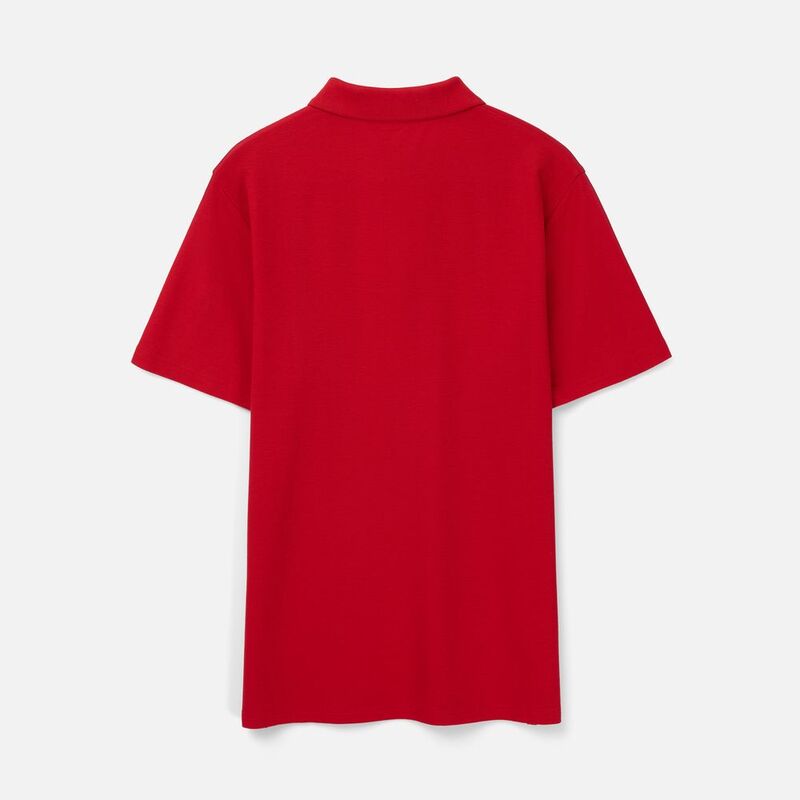 Рубашка поло унисекс Tervise, красная арт.19419.50