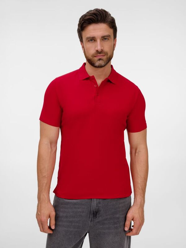 Рубашка поло унисекс Tervise, красная арт.19419.50