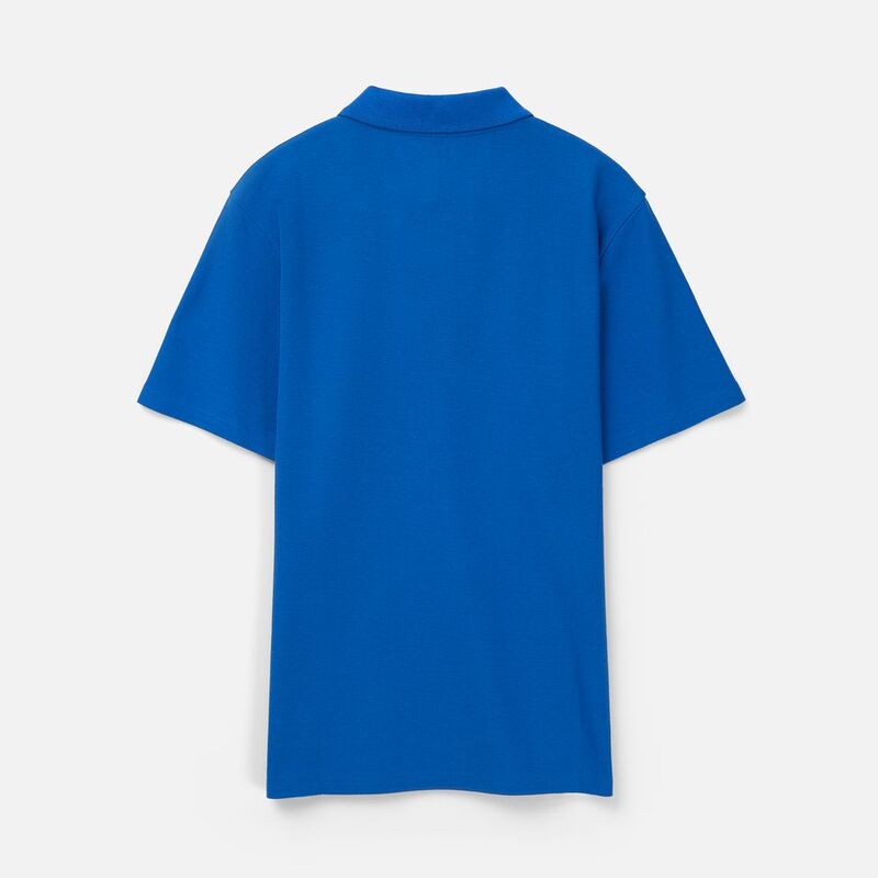 Рубашка поло унисекс Tervise, ярко-синяя арт.19419.44