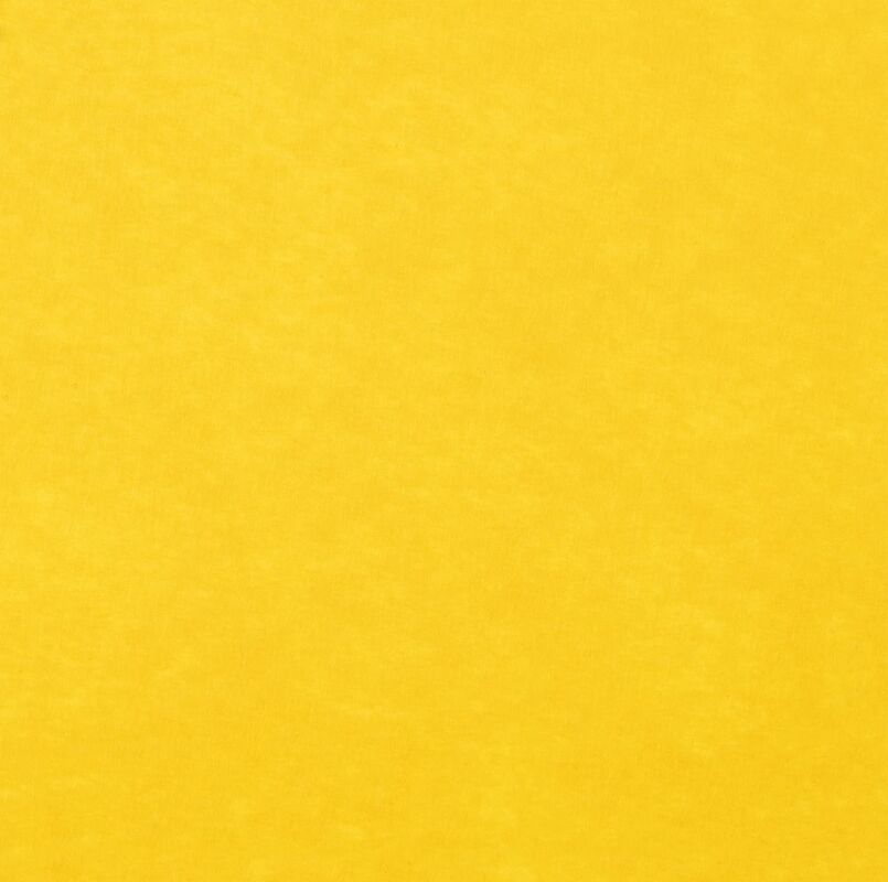 Заготовка из фетра Felt 100, желтая арт.17571.80