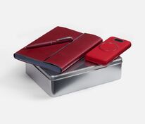 Набор Petrus Energy, красный арт.20376.50