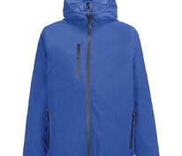 Куртка софтшелл с капюшоном мужская Falcon Men, ярко-синяя (royal) арт.04449241