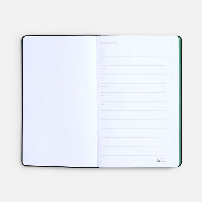 Ежедневник Nice Twice, недатированный, черный с ярко-зеленым арт.22041.93