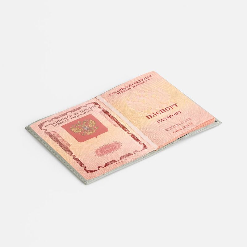 Обложка для паспорта Shall, ver. 2, серая арт.17677.11
