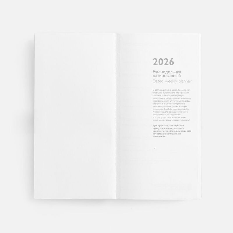 Еженедельник Baza, датированный, серый арт.18295.10