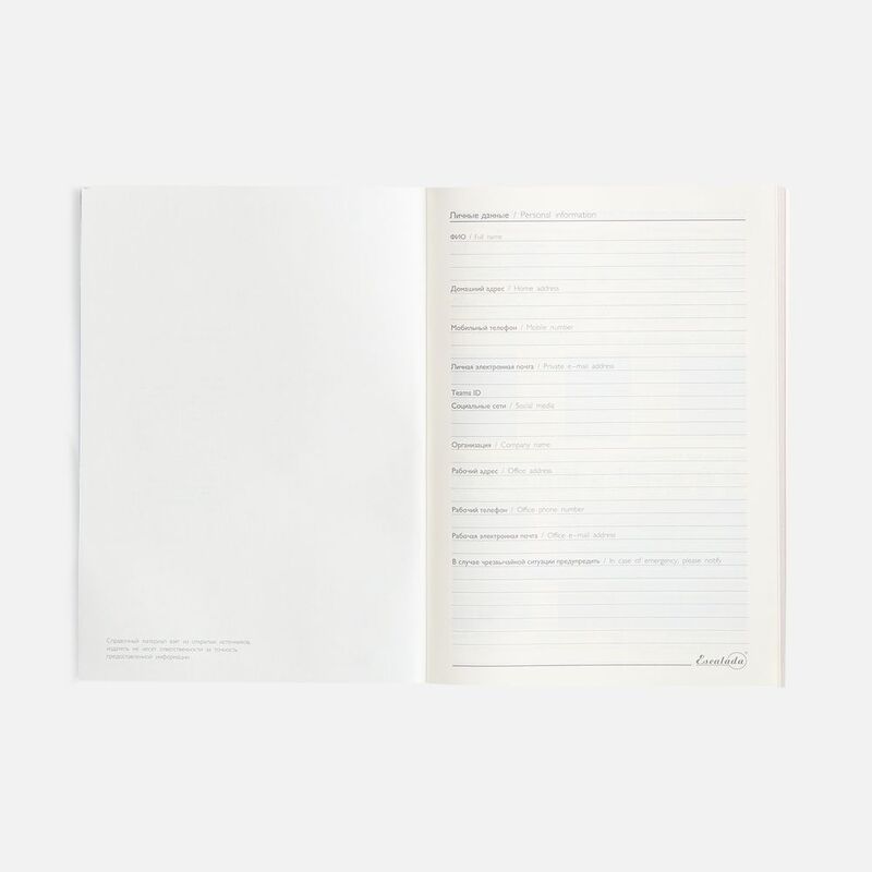 Ежедневник Repute, недатированный, красный арт.20132.50