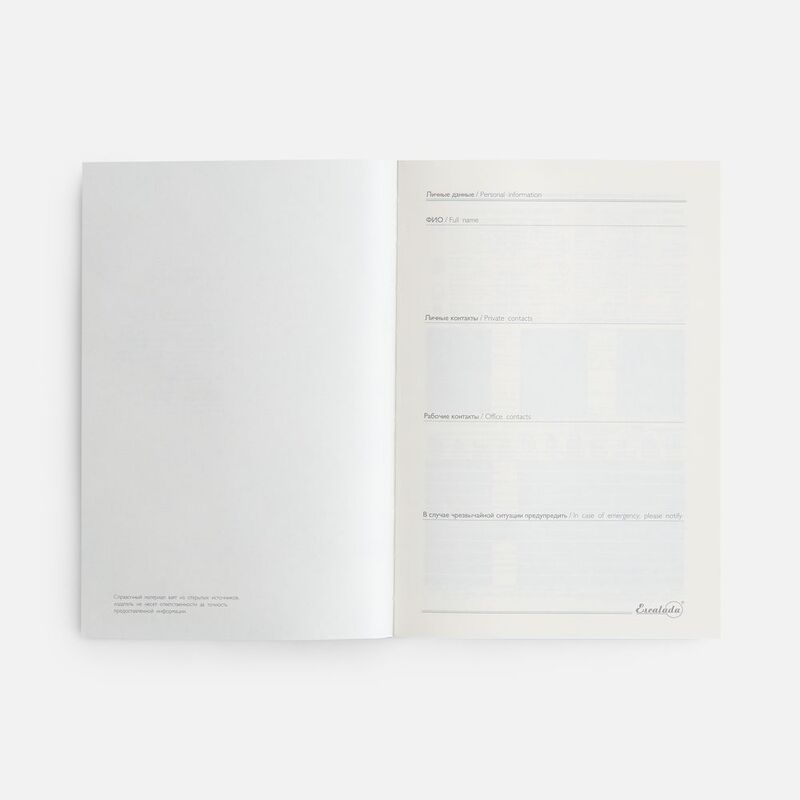 Ежедневник Leadmark, недатированный, коричневый арт.20133.59