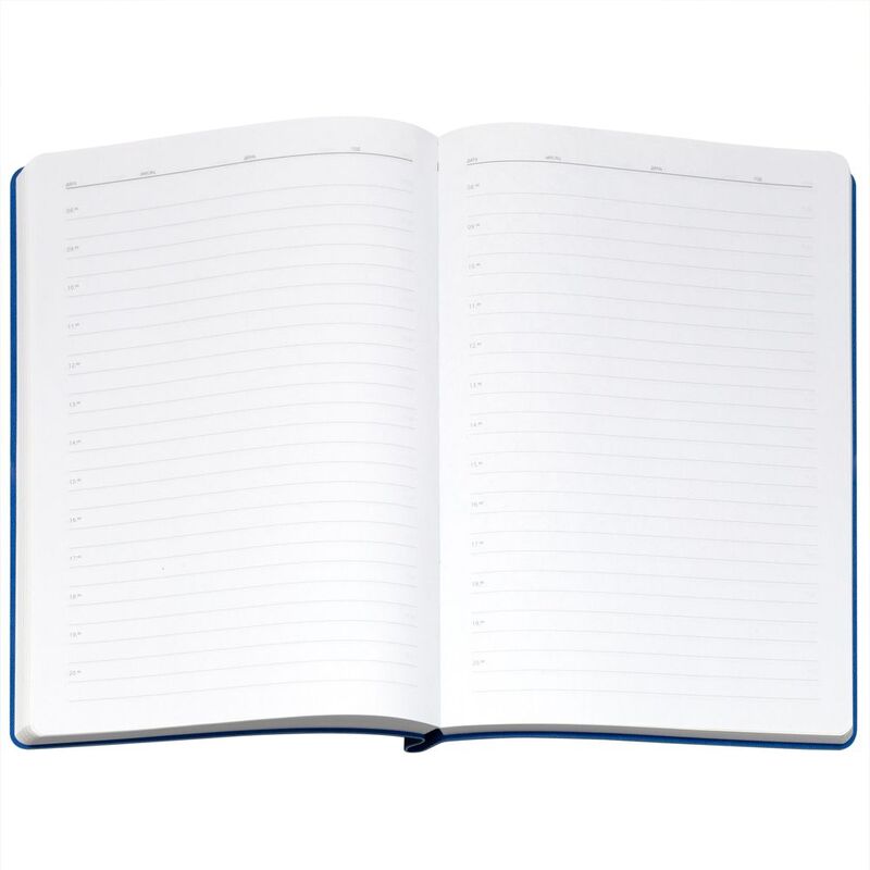 Ежедневник Flexpen Bright, недатированный, синий арт.21168.40