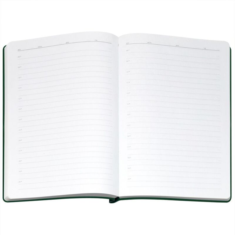 Ежедневник Flexpen Bright, недатированный, зеленый арт.21168.90