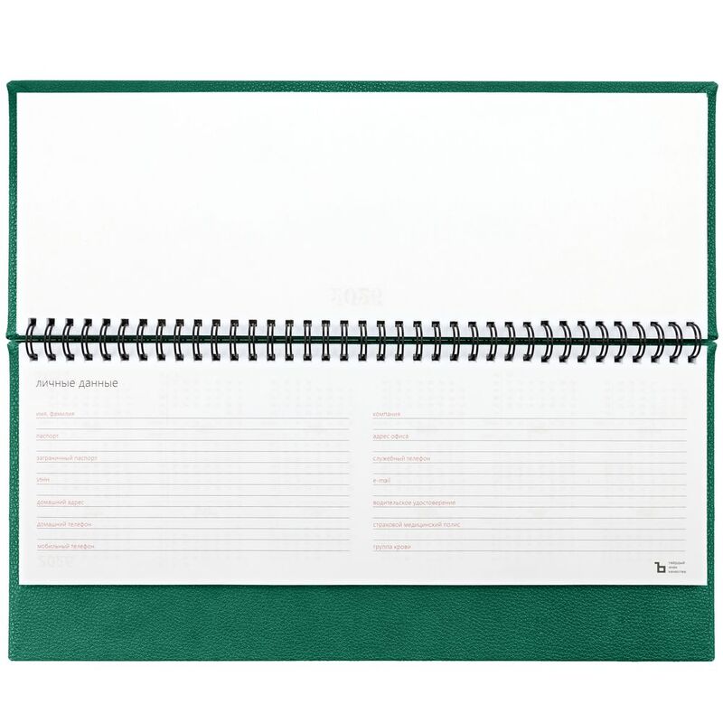 Планинг Sagrin, датированный, зеленый арт.21181.90