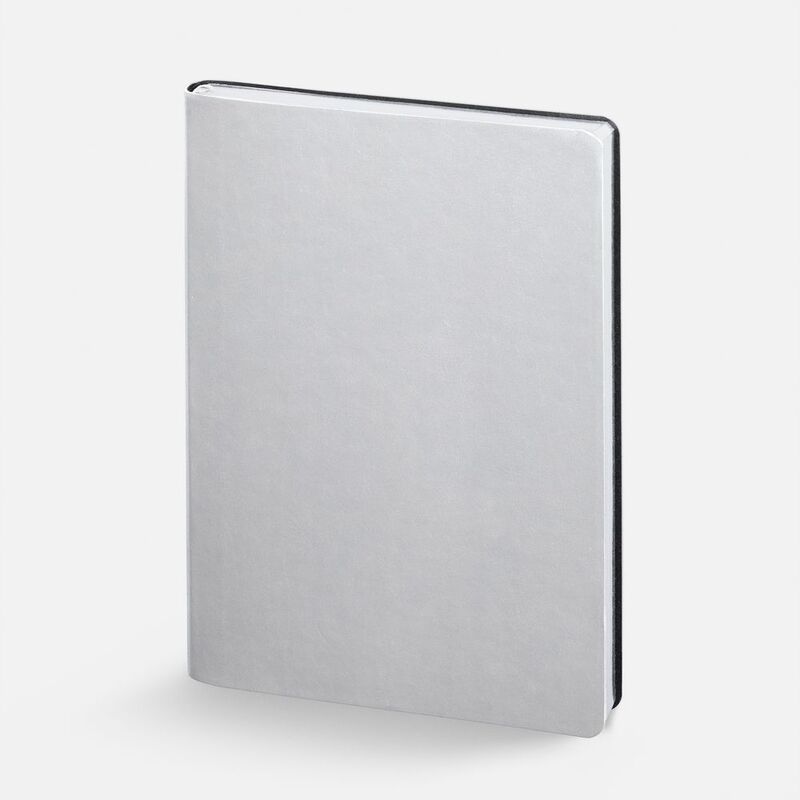 Набор Nebraska Flex, серебристый арт.20128.10