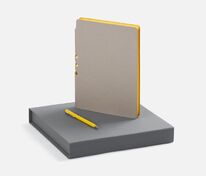 Набор Flexpen Grey, желтый арт.22421.18