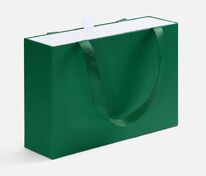 Коробка Regalis, зеленая арт.25011.90