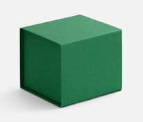 Коробка Alian, зеленая арт.7887.90