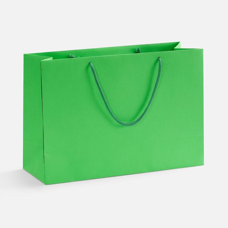 Пакет бумажный Ample Thin M, светло-зеленый арт.250014.92