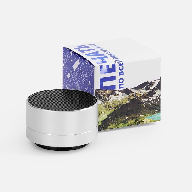 Коробка с полноцветной печатью для колонки Easy арт.25100.01