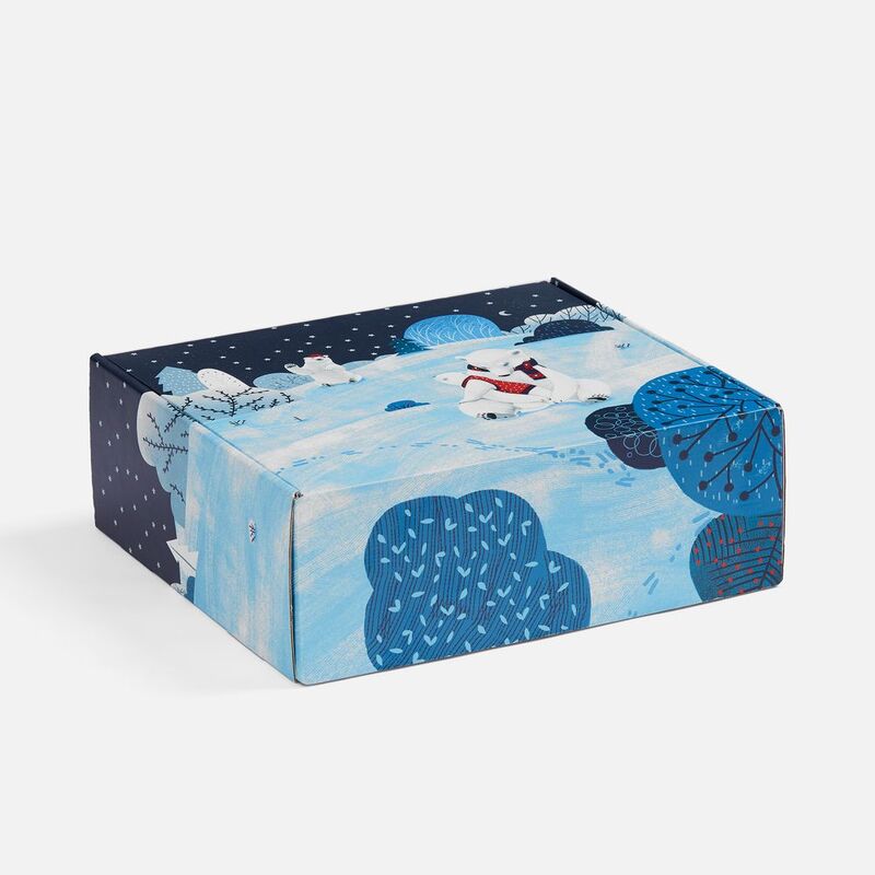 Набор &laquo;Мишкин очаг&raquo; арт.22207.00