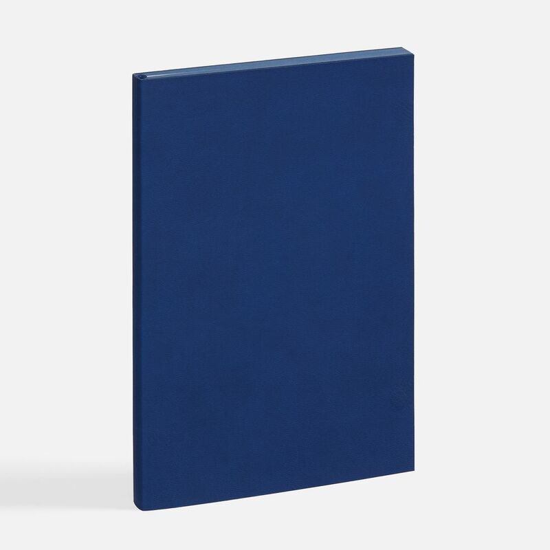 Ежедневник Flat, недатированный, синий, ver.2 арт.17893.04
