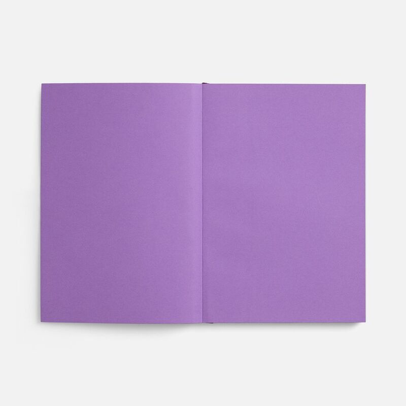 Ежедневник Flat, недатированный, фиолетовый, ver.2 арт.17893.07