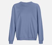 Свитшот унисекс Columbia, синий арт.03814205