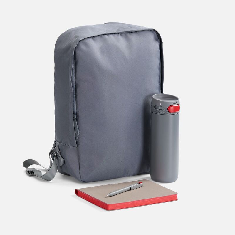 Набор Flexpen Travel, серый с красным арт.21941.15