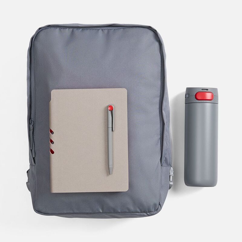 Набор Flexpen Travel, серый с красным арт.21941.15