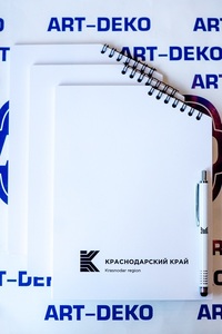 bloknoty-i-ezhednevniki-19